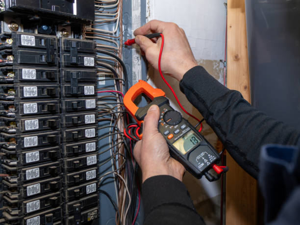 Best Licensed Electrician  in Agua Dulce, TX